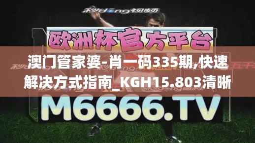 澳门管家婆-肖一码335期,快速解决方式指南_KGH15.803清晰版