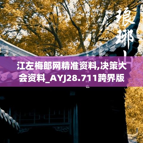 江左梅郎网精准资料,决策大会资料_AYJ28.711跨界版