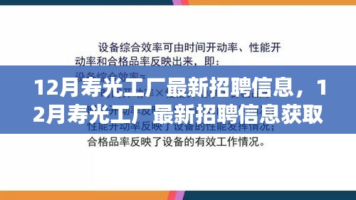 12月寿光工厂最新招聘信息获取攻略，教你如何顺利应聘