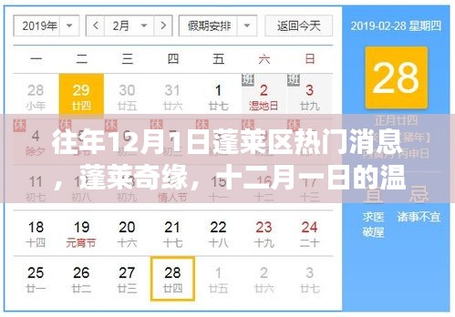 蓬莱奇缘，十二月一日的温馨日常与友情故事盘点