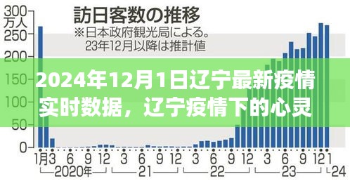 辽宁疫情下的心灵之旅，自然美景与内心力量的探寻（实时疫情数据更新）