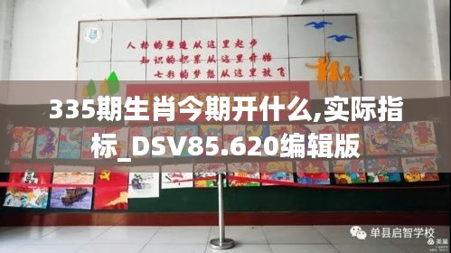 335期生肖今期开什么,实际指标_DSV85.620编辑版