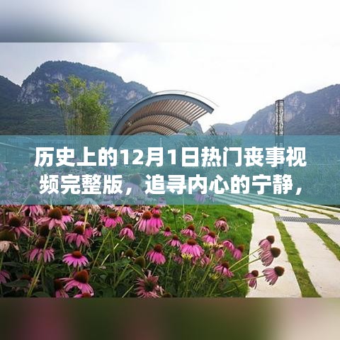 历史上的12月1日丧事纪念与美景之旅启程视频完整版，追寻内心的宁静