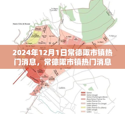 常德陬市镇热门消息解析，社区活动任务指南与应对策略 2024年12月1日篇