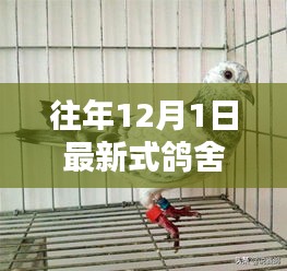 历年12月1日新式鸽舍的时代变迁印记