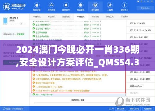 2024澳门今晚必开一肖336期,安全设计方案评估_QMS54.387复古版