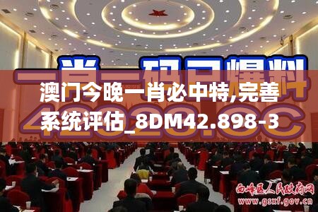 澳门今晚一肖必中特,完善系统评估_8DM42.898-3