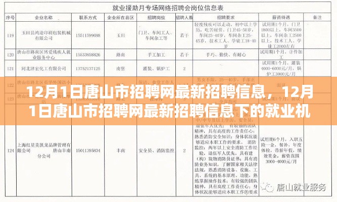 12月1日唐山市招聘网最新招聘信息，就业机遇与挑战一览