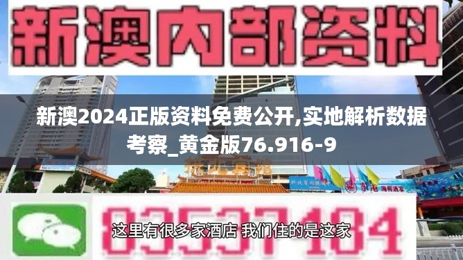 新澳2024正版资料免费公开,实地解析数据考察_黄金版76.916-9