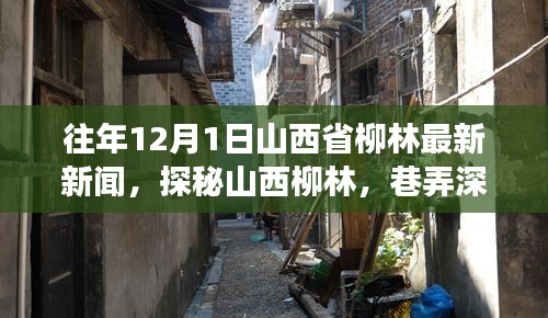 探秘山西柳林巷弄深处的独特风味，小巷特色小店的故事（最新新闻）