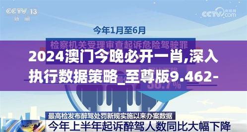 2024澳门今晚必开一肖,深入执行数据策略_至尊版9.462-3