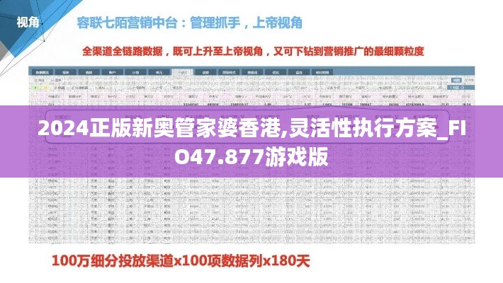 2024正版新奥管家婆香港,灵活性执行方案_FIO47.877游戏版