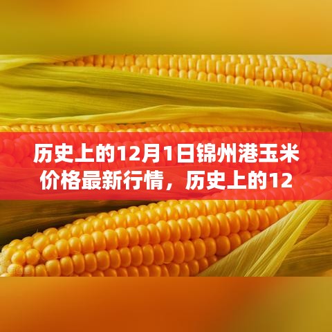 历史上的12月1日锦州港玉米价格走势，变迁与成长之路的见证者