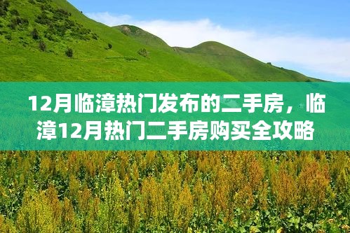 临漳12月热门二手房购买攻略，轻松选购心仪房源，零基础入门指南