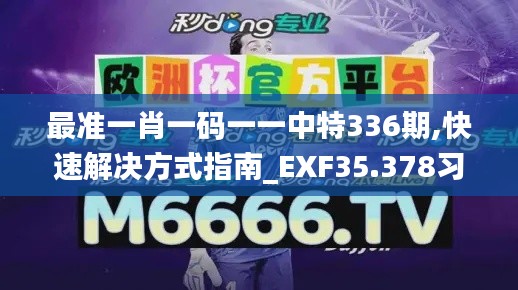 最准一肖一码一一中特336期,快速解决方式指南_EXF35.378习惯版