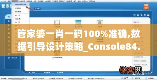 管家婆一肖一码100%准确,数据引导设计策略_Console84.529-1