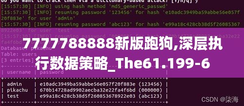 7777788888新版跑狗,深层执行数据策略_The61.199-6