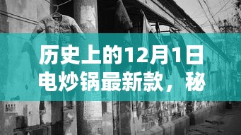 秘境探索与电炒锅传奇，揭秘最新款电炒锅侧写——12月新品发布