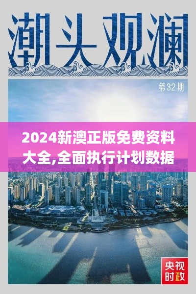 2024新澳正版免费资料大全,全面执行计划数据_suite39.705-6