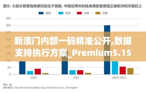 新澳门内部一码精准公开,数据支持执行方案_Premium5.156-4