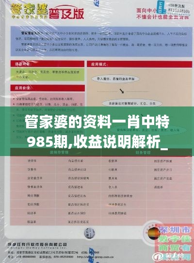 管家婆的资料一肖中特985期,收益说明解析_XR132.729-3