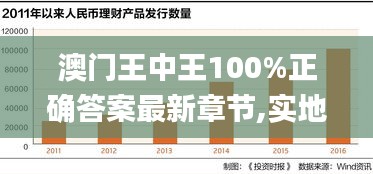 澳门王中王100%正确答案最新章节,实地分析数据执行_Phablet181.412-9