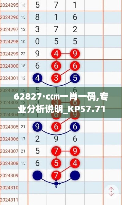 62827·c㎝一肖一码,专业分析说明_KP57.715-3