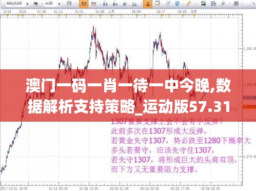 澳门一码一肖一待一中今晚,数据解析支持策略_运动版57.310-6