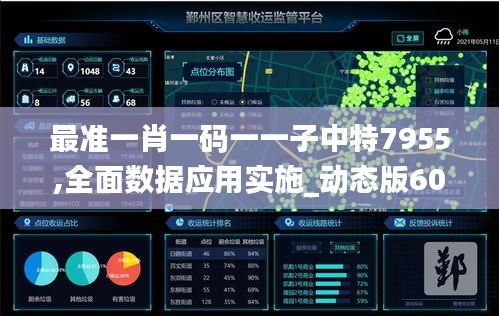 最准一肖一码一一子中特7955,全面数据应用实施_动态版60.445-2