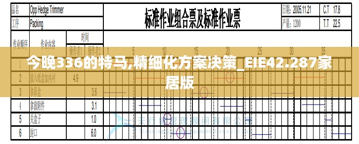 今晚336的特马,精细化方案决策_EIE42.287家居版