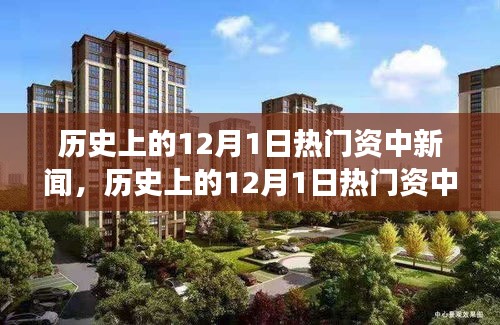 历史上的12月1日热门资中新闻，深度解读与观点阐述