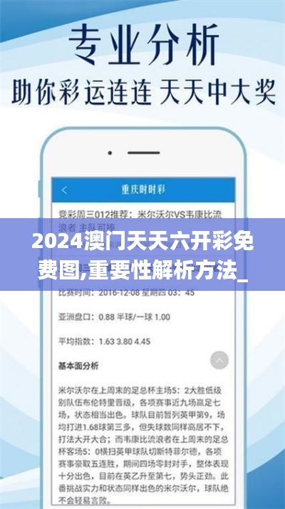 2024澳门天天六开彩免费图,重要性解析方法_黄金版177.971-6