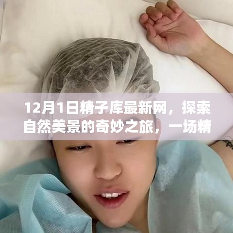 启程于12月1日的精子库奇妙自然美景探索之旅