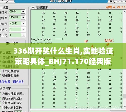 336期开奖什么生肖,实地验证策略具体_BHJ71.170经典版