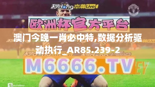 澳门今晚一肖必中特,数据分析驱动执行_AR85.239-2