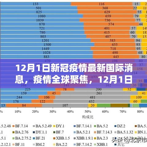 12月1日全球新冠疫情最新动态概览