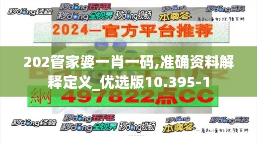 202管家婆一肖一码,准确资料解释定义_优选版10.395-1