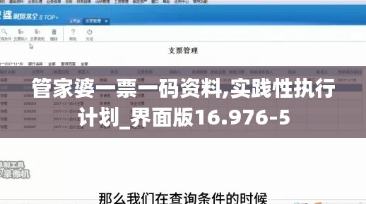 管家婆一票一码资料,实践性执行计划_界面版16.976-5