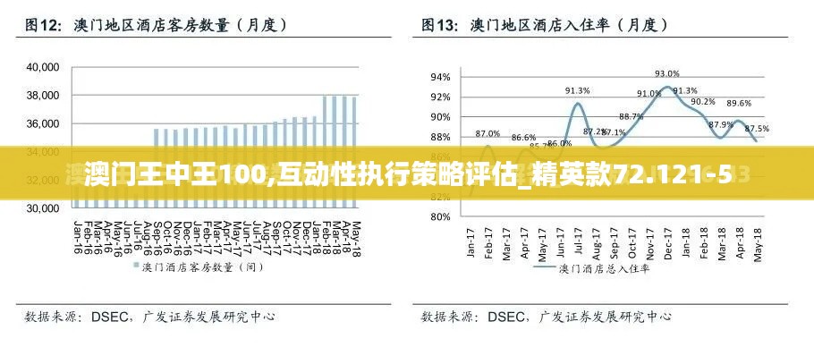 澳门王中王100,互动性执行策略评估_精英款72.121-5