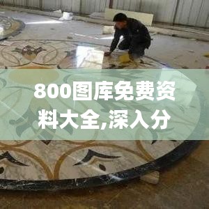 800图库免费资料大全,深入分析解释定义_移动版152.737-1