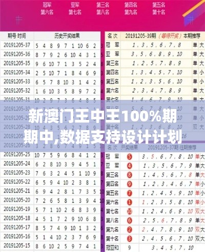 新澳门王中王100%期期中,数据支持设计计划_顶级版60.388-4