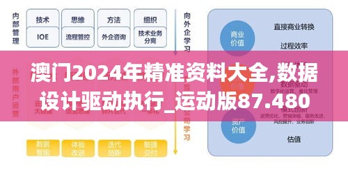 澳门2024年精准资料大全,数据设计驱动执行_运动版87.480-2