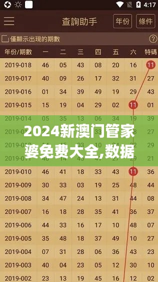 2024新澳门管家婆免费大全,数据解析导向计划_Surface89.144-5