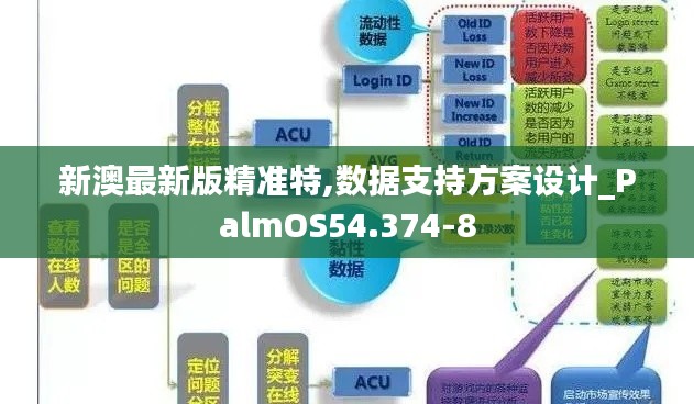 新澳最新版精准特,数据支持方案设计_PalmOS54.374-8