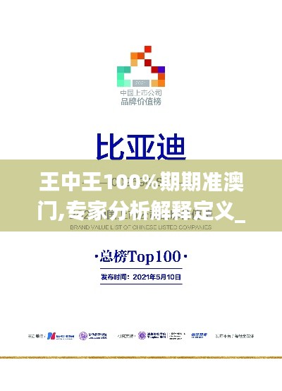 王中王100%期期准澳门,专家分析解释定义_视频版19.715-6