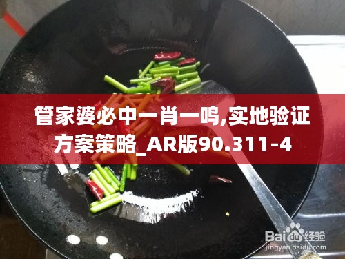 管家婆必中一肖一鸣,实地验证方案策略_AR版90.311-4