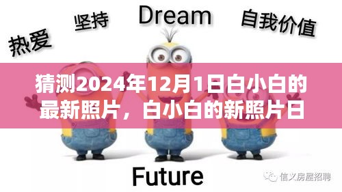 白小白最新照片揭晓，友情、时光与美好瞬间的定格——2024年白小白新照片日纪念