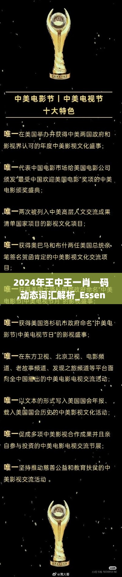 2024年王中王一肖一码,动态词汇解析_Essential6.230-3