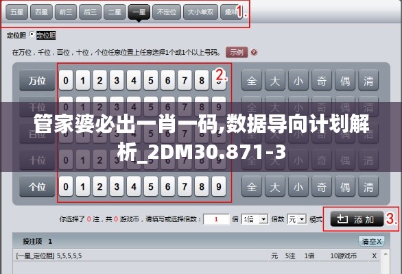 管家婆必出一肖一码,数据导向计划解析_2DM30.871-3
