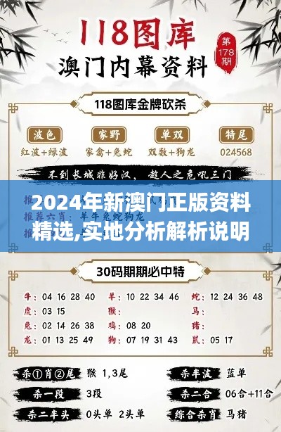 2024年新澳门正版资料精选,实地分析解析说明_BT121.241-4